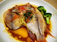 清蒸红星斑-品胜点心专家(万业大厦店)