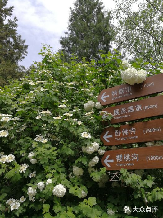 2000停止入园,2100闭园展览温室盆景园;1门票价格国家植物园全价票10