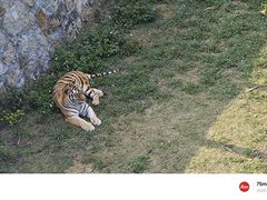 -泉州海丝野生动物世界