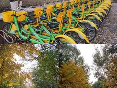 -长白岛森林公园