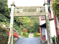 -十八棵（老龙井）御茶园(老龙井店)