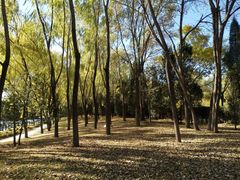 -森林公园(尖草坪区)