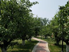 -祥源·阜阳生态乐园