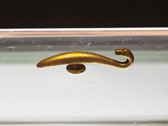 -合浦汉代文化博物馆