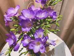 -花草间花行(法华镇路店)