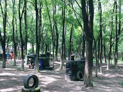 -亲兄弟真人CS团建拓展基地