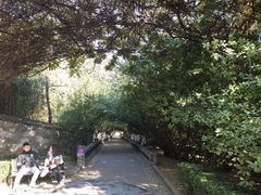 -烟台山景区