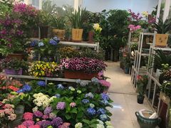 -双季花艺园艺市场(浦东店)