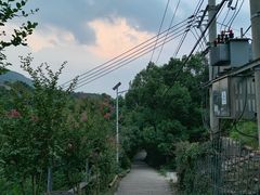 -大罗山风景区