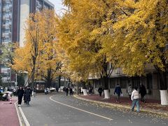 -四川大学(华西校区)