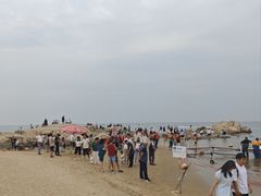 -老虎石海上公园