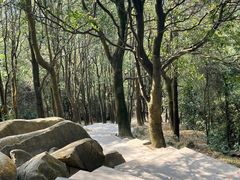 -火炉山森林公园