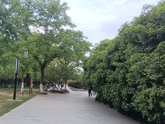 -明故宫遗址公园