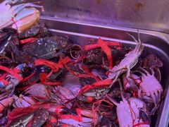 -新梅园不夜粥(龙华店)