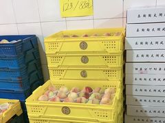 -老袁家蜜桃农场·阳山水蜜桃