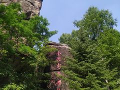 -汤旺河林海奇石景区