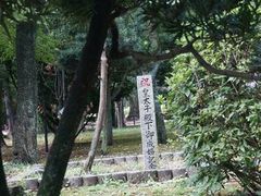 -名古屋城