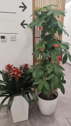 -和颜一美轻医美连锁