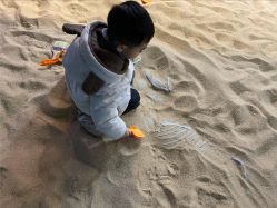 -恐龙探索乐园(磁器口店)