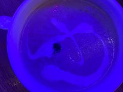 -甲丁坊·德餐·酒吧(五棵松华熙店)