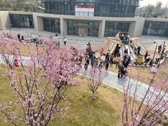 -宁波儿童公园(鄞州区)
