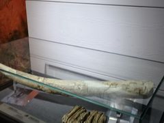 -烟台市博物馆
