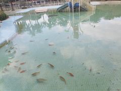 -海珠儿童公园
