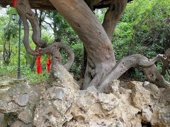 -窦圌山风景区