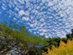 -晓港公园
