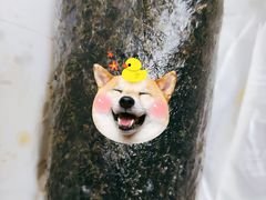 -吉芙家饭团(国贸城店)