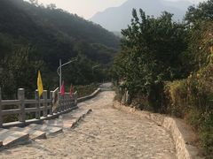 -大岭沟猕猴桃谷风景区