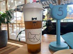 -猫的天空之城概念书店(束河店)