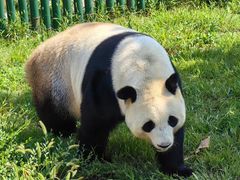 -沈阳森林动物园