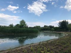 -大兴滨河森林公园