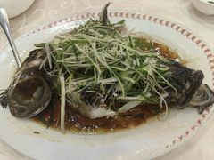 -凤城礼记鱼翅海鲜酒家(新马路总店)
