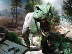 -国家自然博物馆