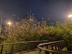 -品秀量贩式KTV(布吉店)