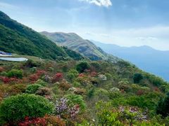 -大围山国家森林公园