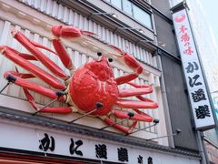 -蟹道乐(道顿堀本店)