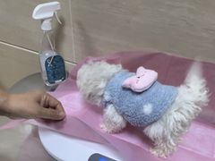 -北京观赏动物医院·24小时大型综合·猫专科·异宠专科