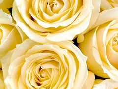 -大润发(康桥店)