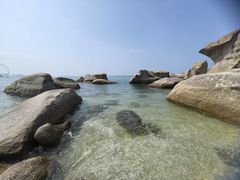 -广东惠东海龟国家级自然保护区