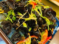 凉拌木耳-伊隆斋(什刹海店)