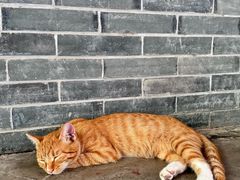 -万寿八仙宫