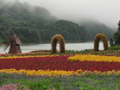 -广州市石门国家森林公园