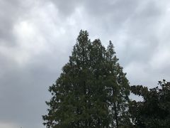 -浙江大学(玉泉校区)