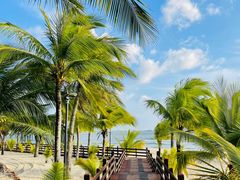 -海南热带雨林国家公园吊罗山景区