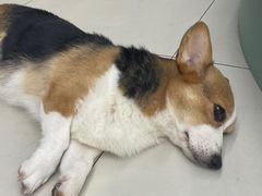 -怪兽屋·羊驼·猫咖·狗咖(俊华广场店)