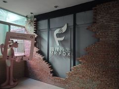 -Mr.Fox狐狸先生超级密室(南山店)