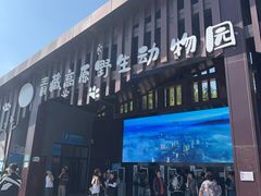 -青藏高原野生动物园